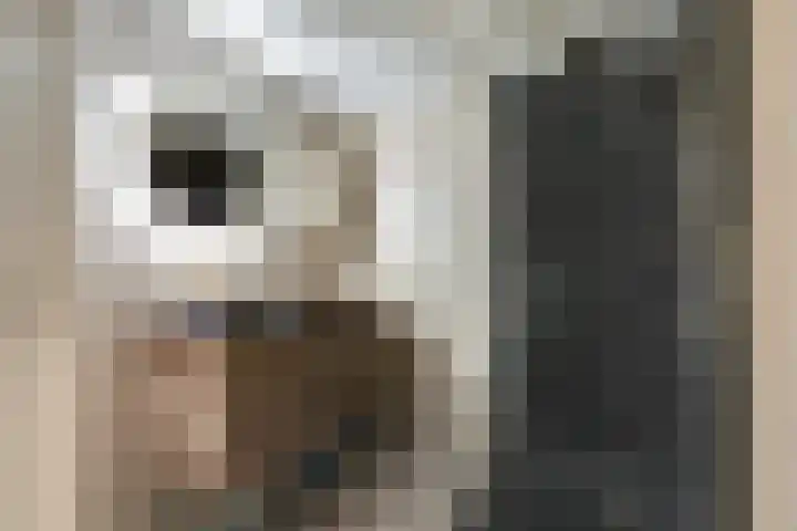 Eerste Koppelveenweg 30 Emmer-Compascuum thumbnail 24