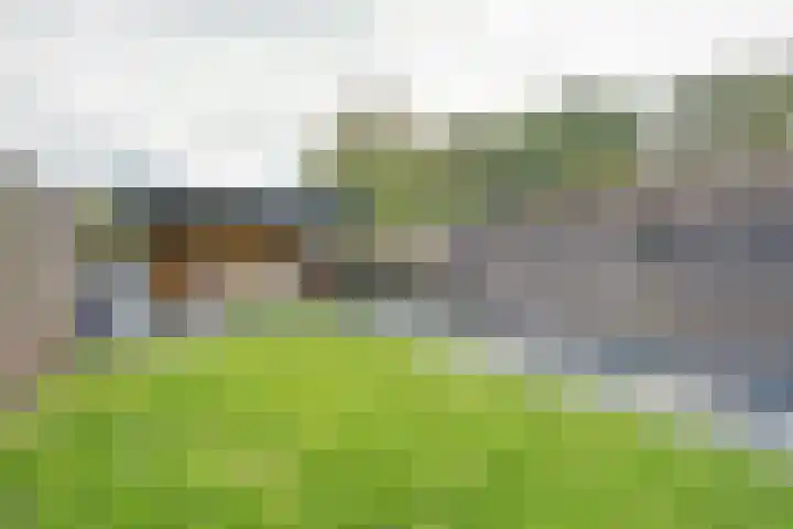 Eerste Koppelveenweg 30 Emmer-Compascuum thumbnail 28