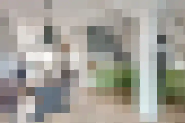 Eerste Koppelveenweg 30 Emmer-Compascuum thumbnail 7