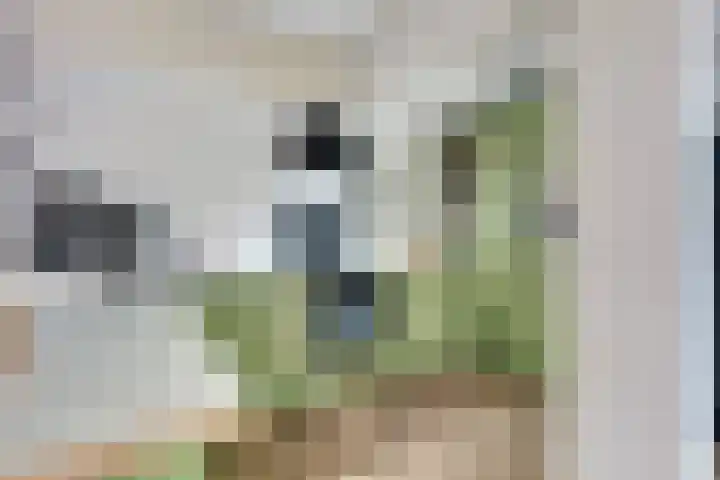 Eerste Koppelveenweg 30 Emmer-Compascuum thumbnail 8