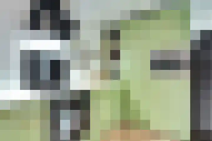 Eerste Koppelveenweg 30 Emmer-Compascuum thumbnail 9