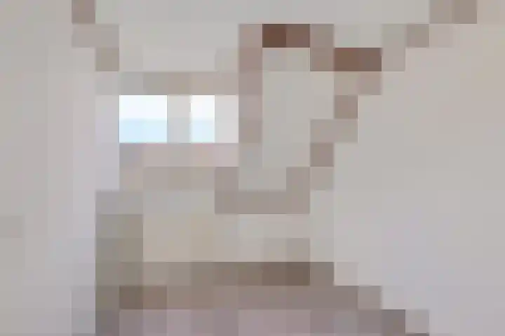 Eerste Koppelveenweg 32 Emmer-Compascuum thumbnail 15
