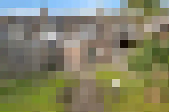 Eerste Koppelveenweg 32 Emmer-Compascuum thumbnail 20