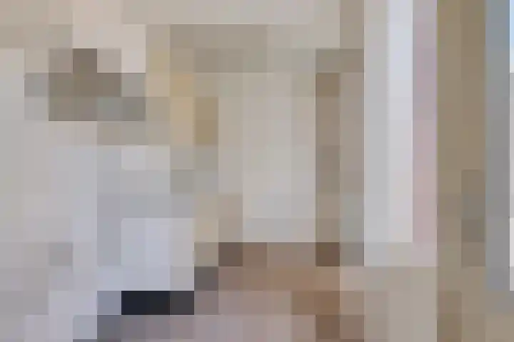 Eerste Koppelveenweg 32 Emmer-Compascuum thumbnail 9