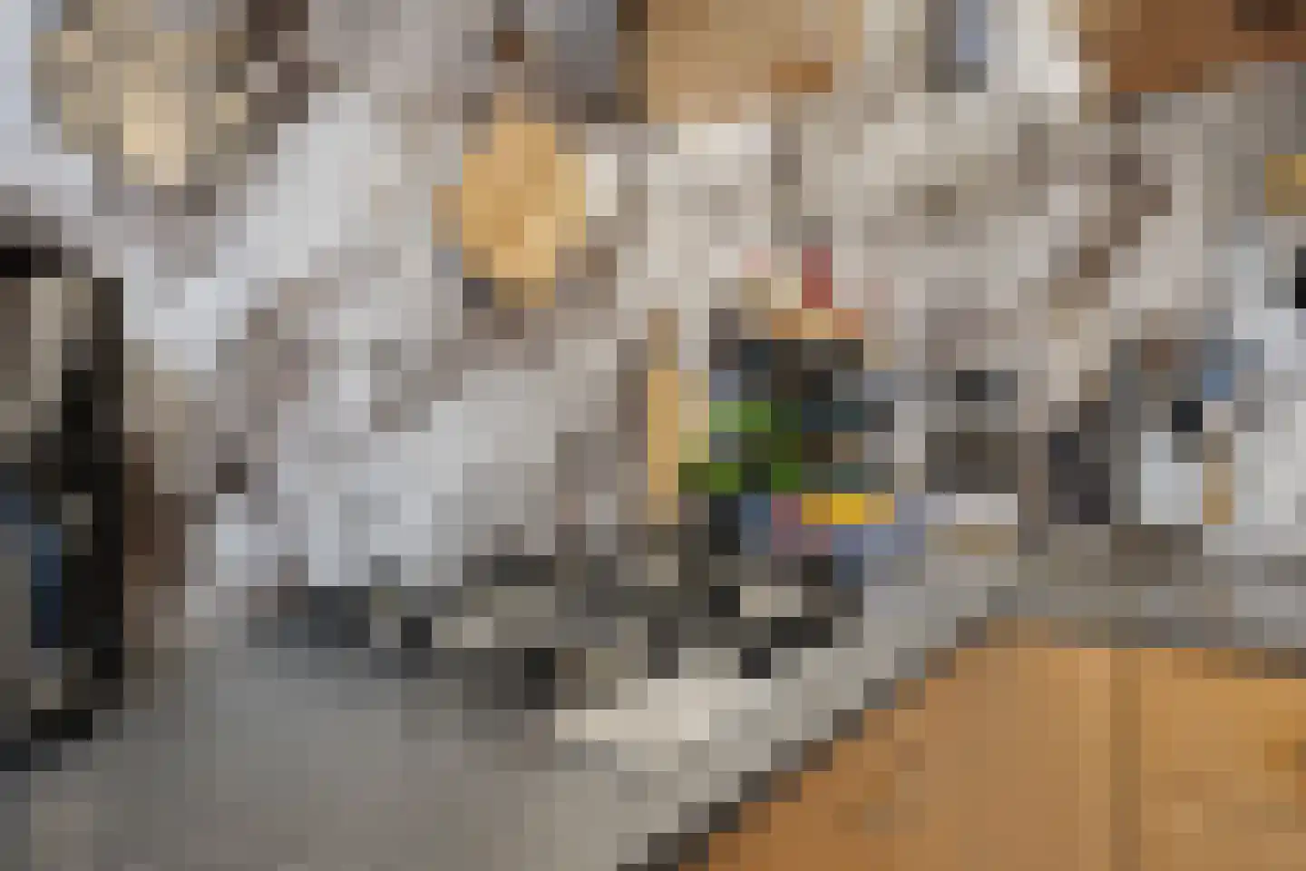 Eerste Koppelveenweg 36 Emmer-Compascuum thumbnail 12