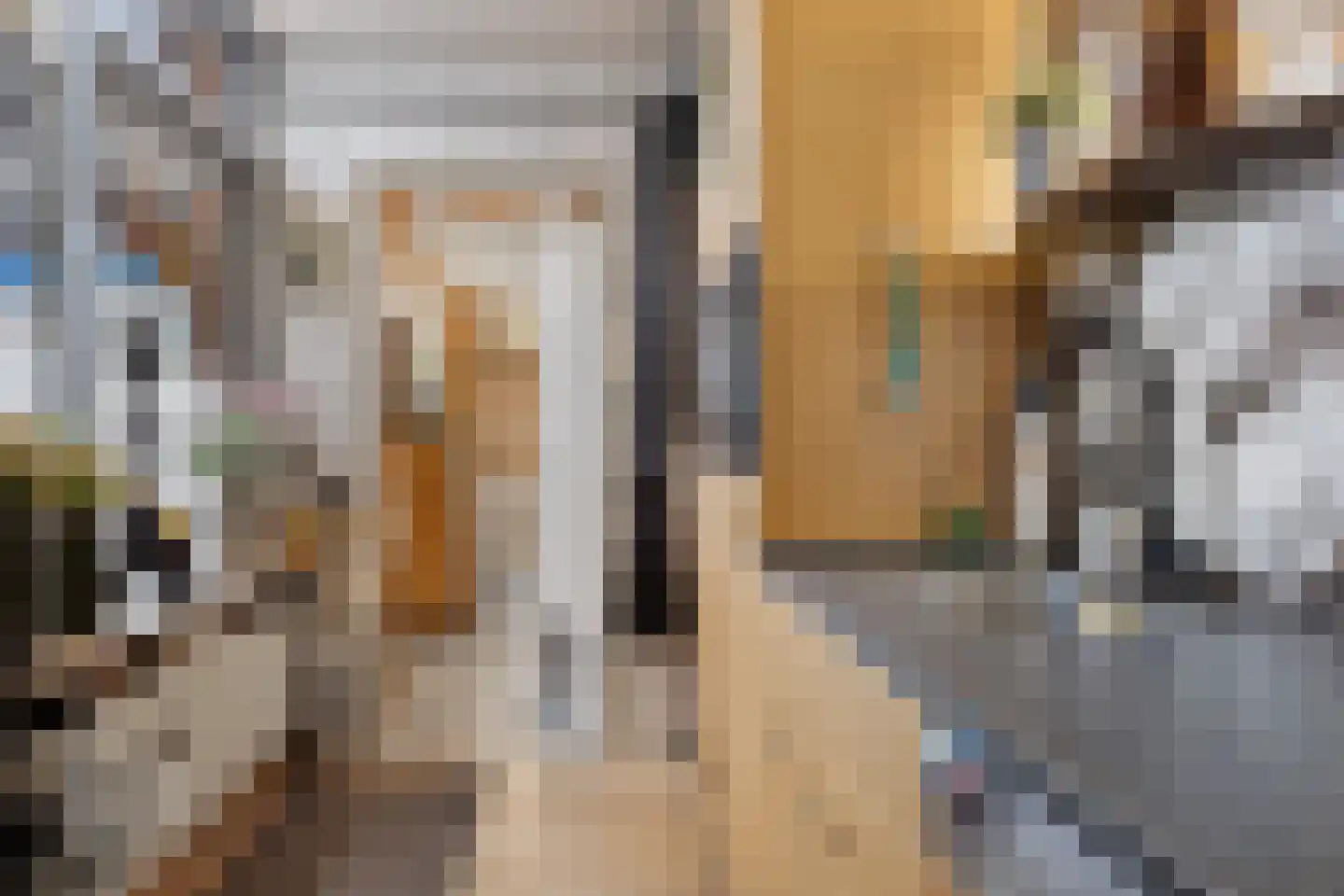 Eerste Koppelveenweg 36 Emmer-Compascuum thumbnail 13