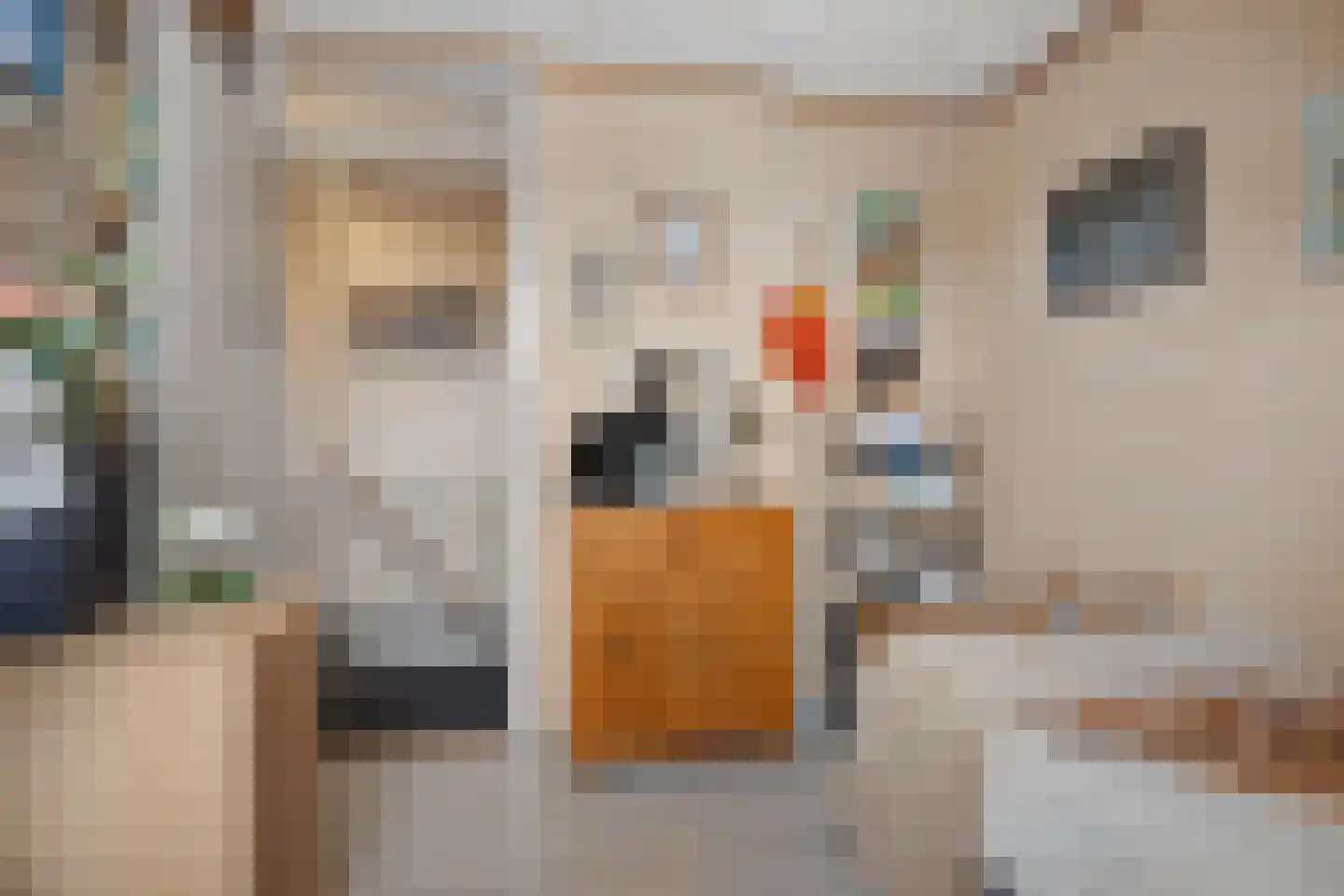 Eerste Koppelveenweg 36 Emmer-Compascuum thumbnail 26