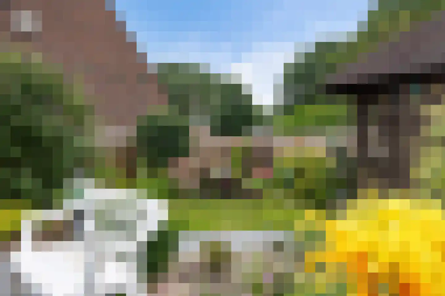 Eerste Koppelveenweg 36 Emmer-Compascuum thumbnail 30