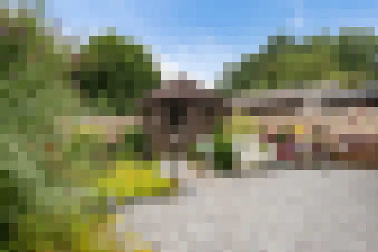 Eerste Koppelveenweg 36 Emmer-Compascuum thumbnail 31
