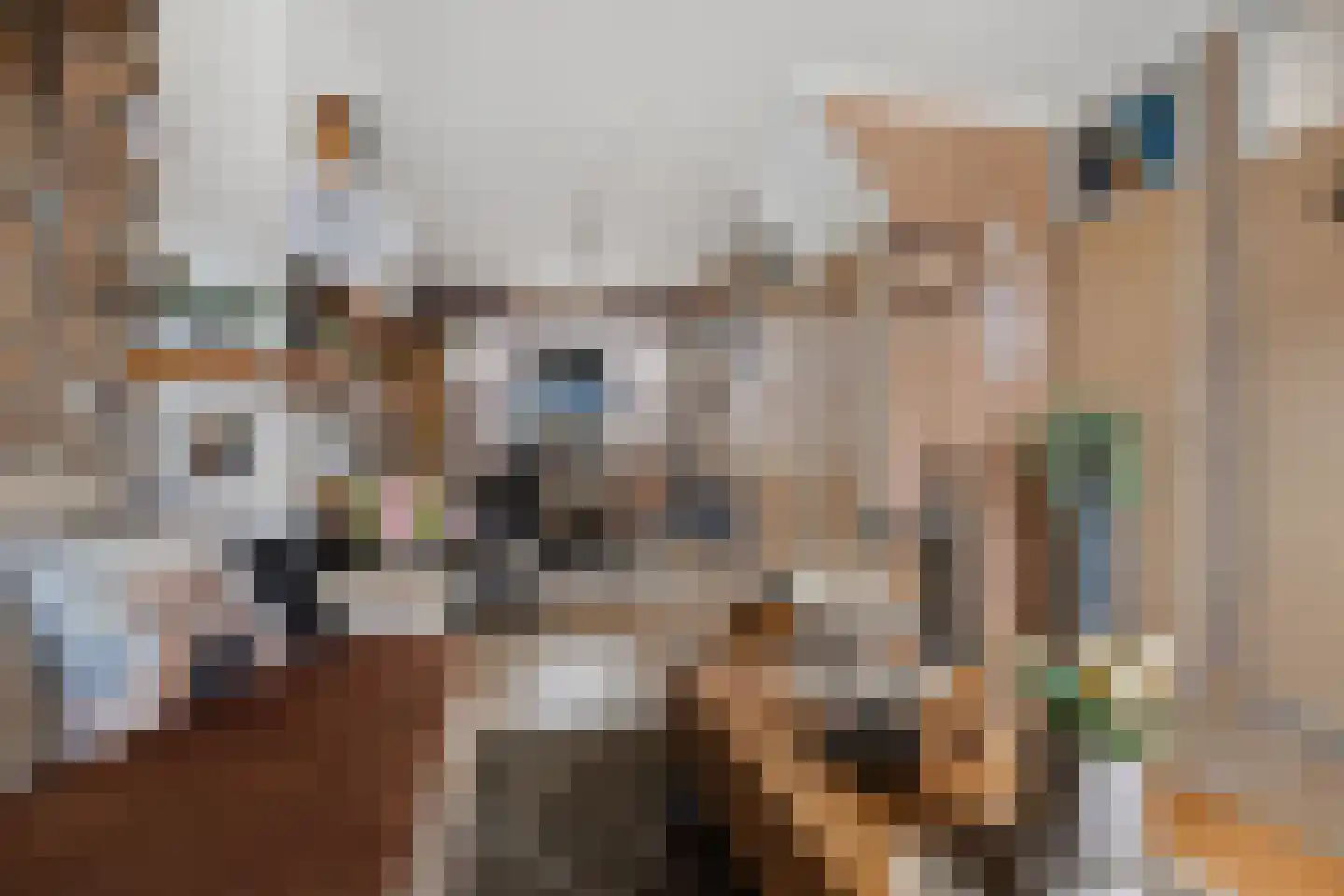 Eerste Koppelveenweg 36 Emmer-Compascuum thumbnail 7