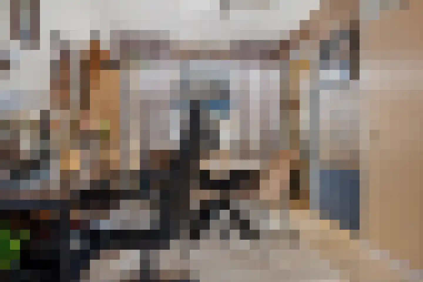 Eerste Koppelveenweg 36 Emmer-Compascuum thumbnail 8