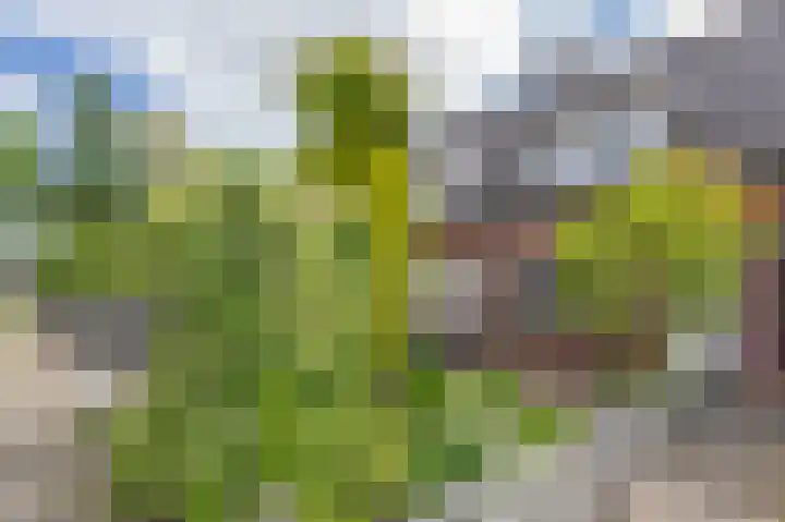 Eerste Koppelveenweg 40 in Emmer-Compascuum