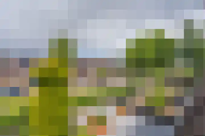 Eerste Koppelveenweg 40 Emmer-Compascuum thumbnail 25