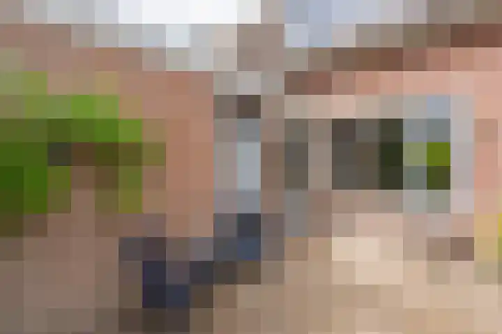 Eerste Koppelveenweg 40 Emmer-Compascuum thumbnail 32