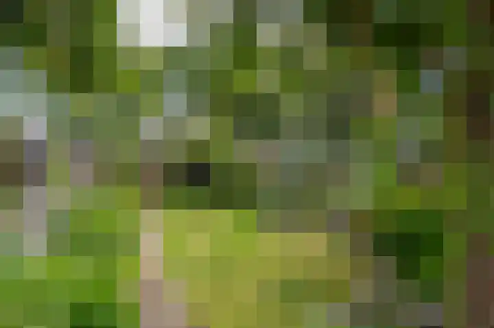 Eerste Koppelveenweg 40 Emmer-Compascuum thumbnail 35