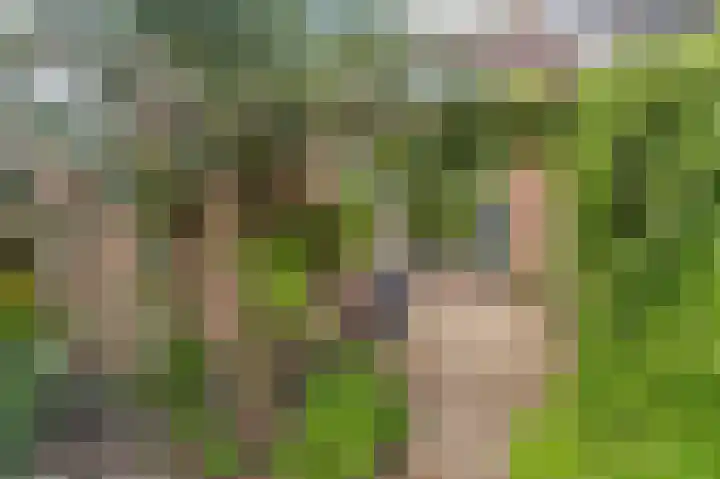 Eerste Koppelveenweg 40 Emmer-Compascuum thumbnail 36