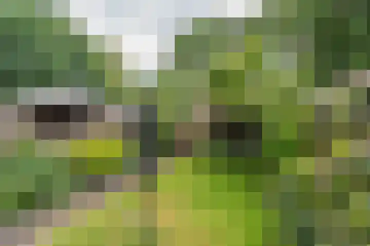 Eerste Koppelveenweg 40 Emmer-Compascuum thumbnail 37