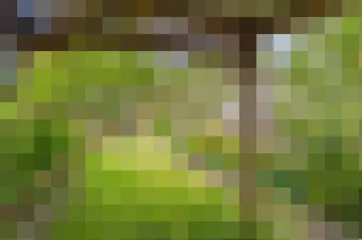 Eerste Koppelveenweg 40 Emmer-Compascuum thumbnail 41