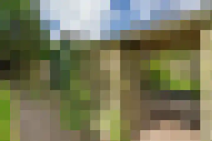Eerste Koppelveenweg 40 Emmer-Compascuum thumbnail 44