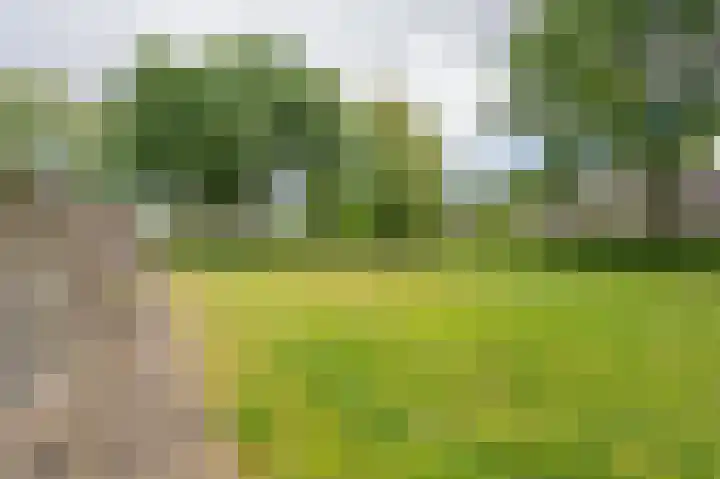 Eerste Koppelveenweg 40 Emmer-Compascuum thumbnail 48