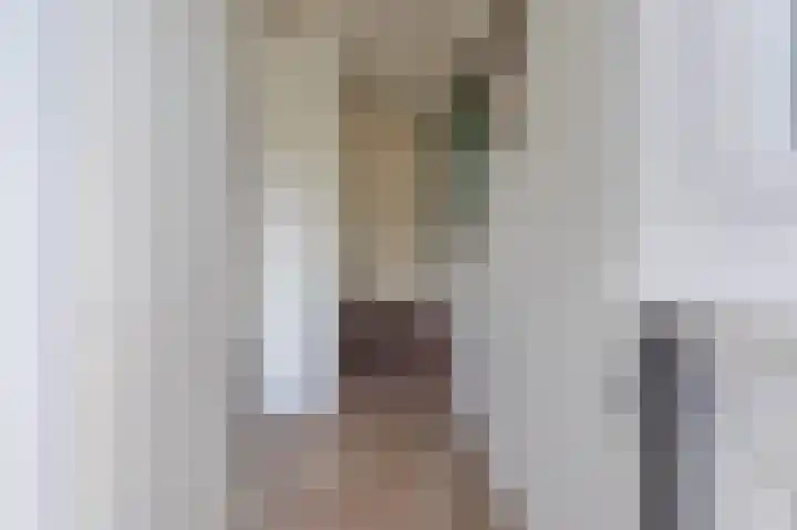 Eerste Koppelveenweg 40 Emmer-Compascuum thumbnail 5