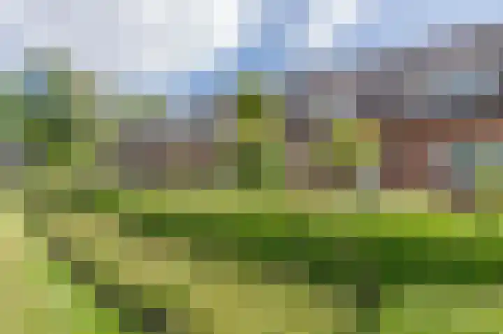 Eerste Koppelveenweg 40 Emmer-Compascuum thumbnail 52