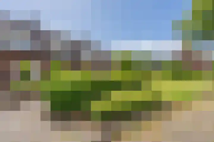 Eerste Koppelveenweg 40 Emmer-Compascuum thumbnail 53