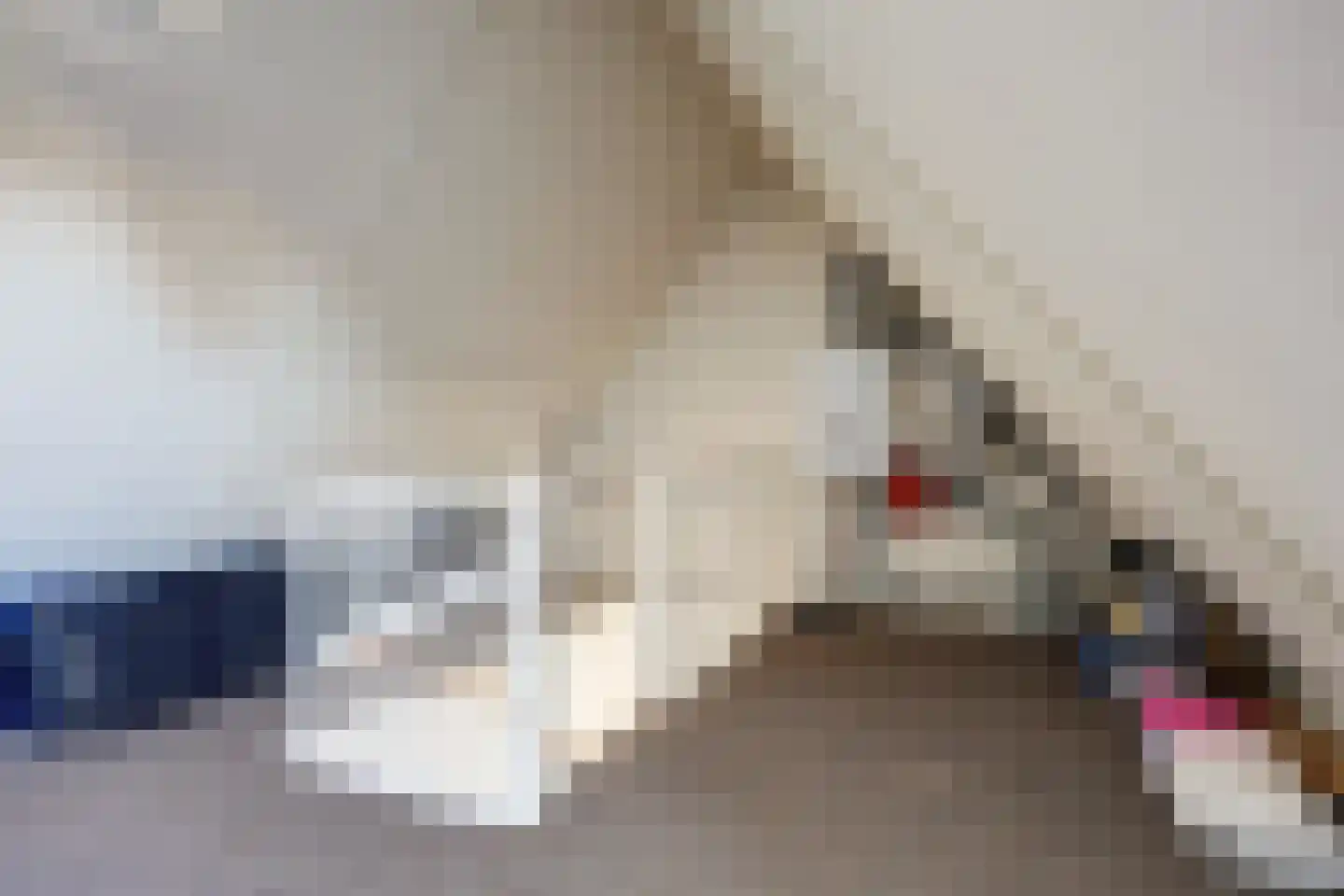 Eerste Koppelveenweg 77 Emmer-Compascuum thumbnail 31