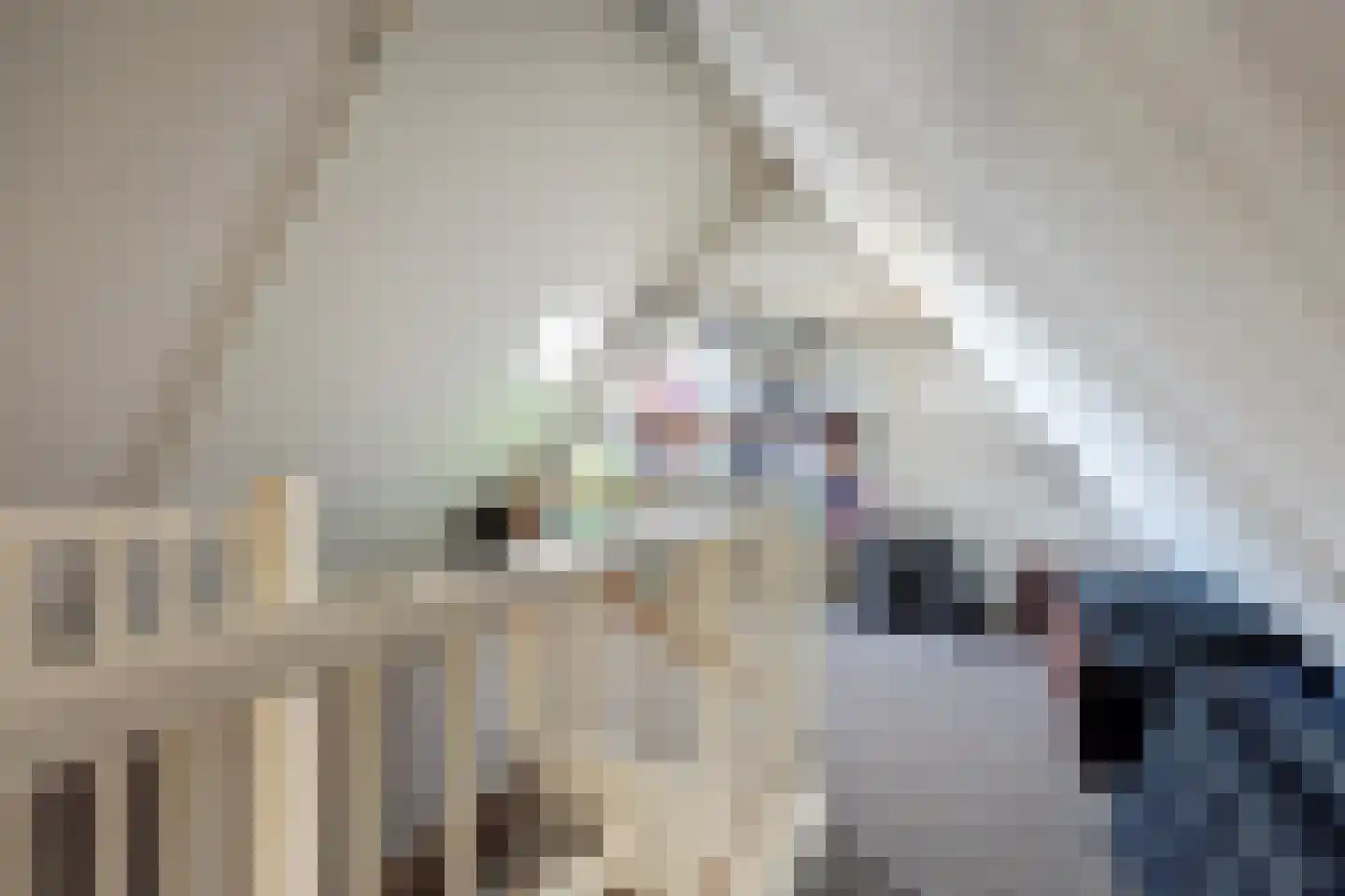 Eerste Koppelveenweg 77 Emmer-Compascuum thumbnail 32
