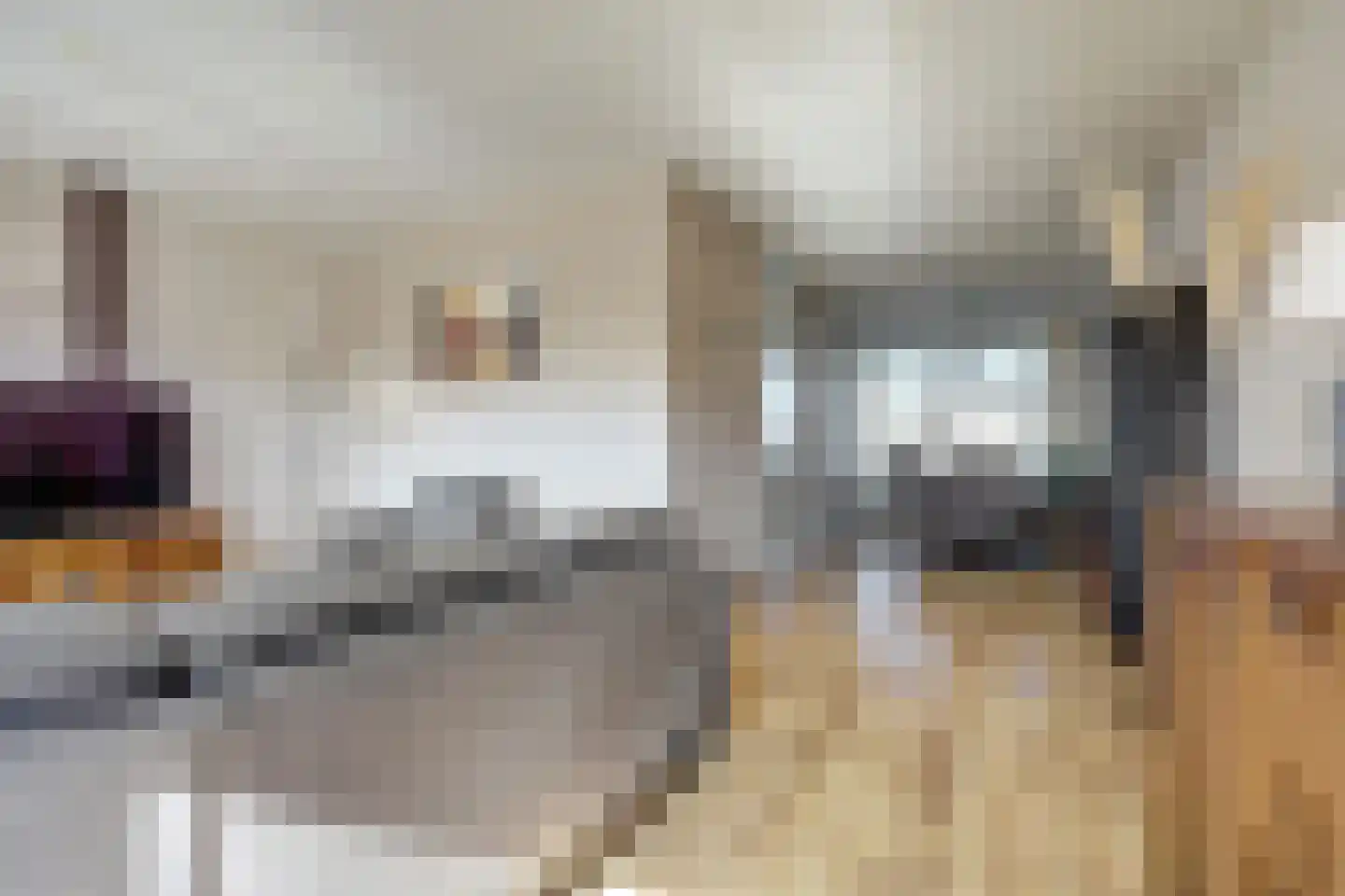 Eerste Koppelveenweg 77 Emmer-Compascuum thumbnail 4