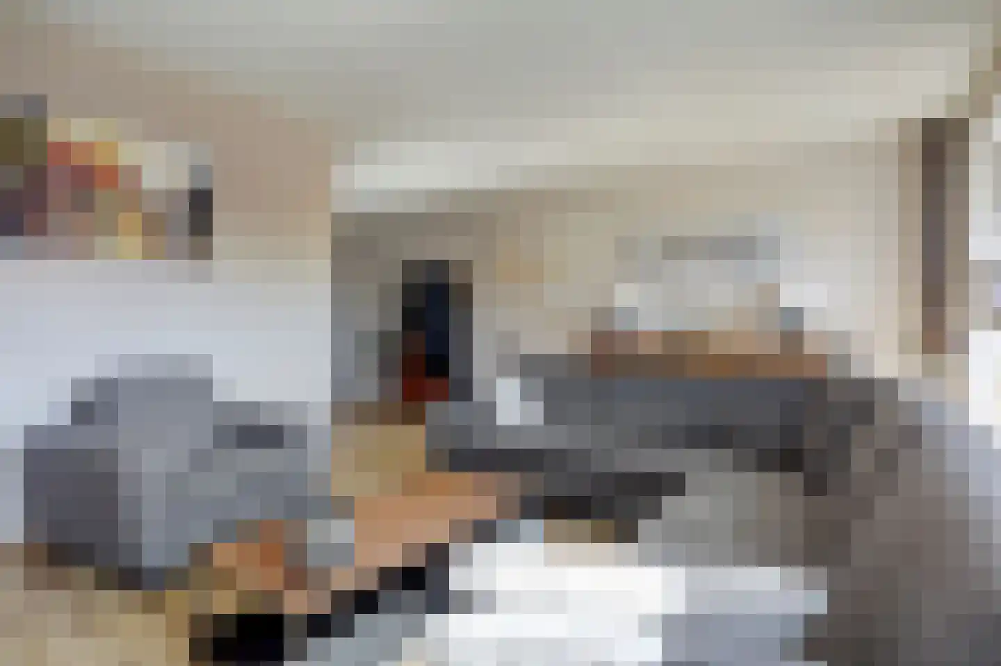 Eerste Koppelveenweg 77 Emmer-Compascuum thumbnail 5
