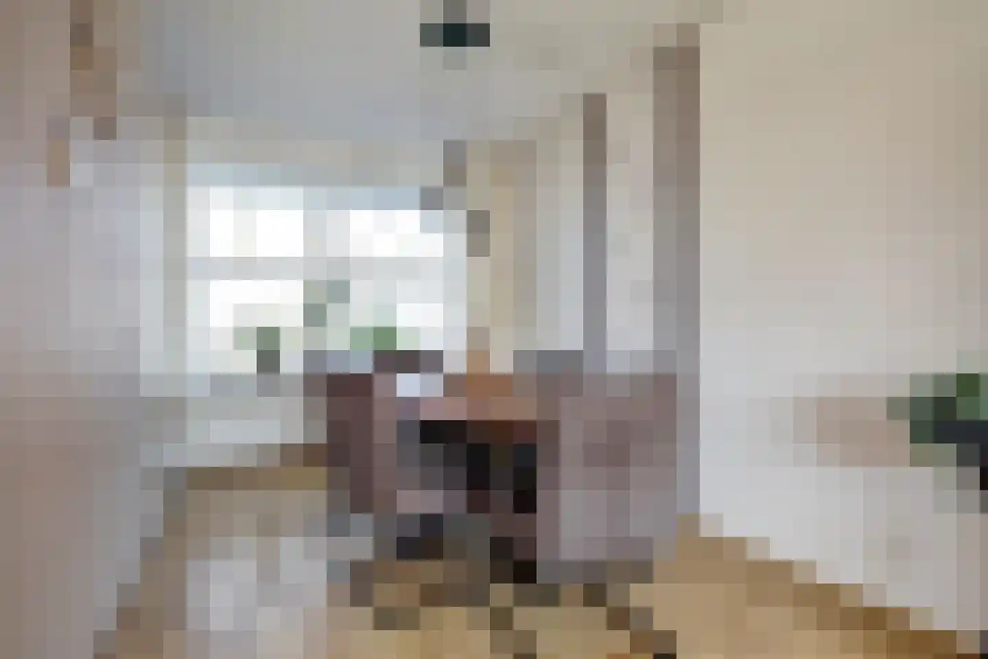 Eerste Koppelveenweg 77 Emmer-Compascuum thumbnail 8