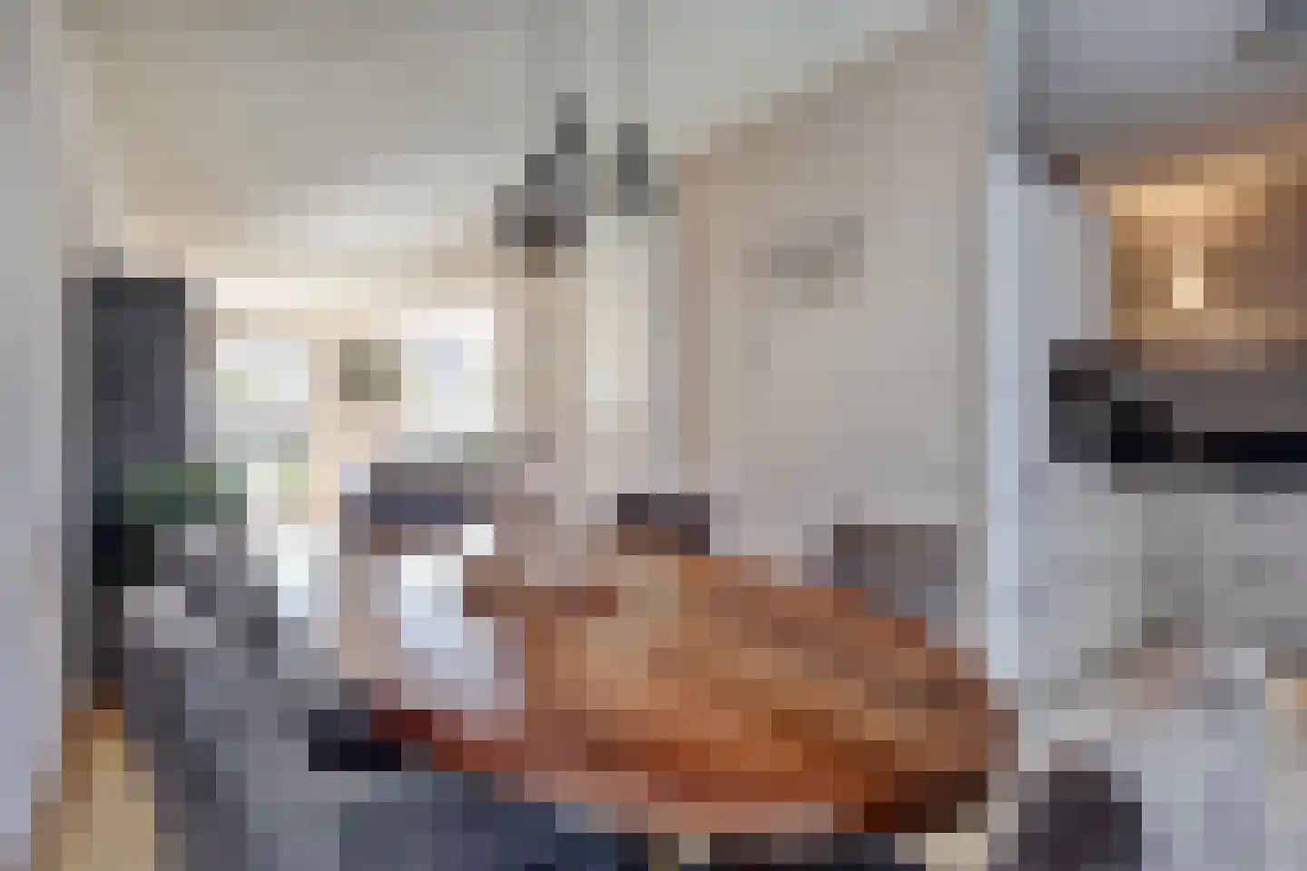 Eerste Koppelveenweg 77 Emmer-Compascuum thumbnail 9
