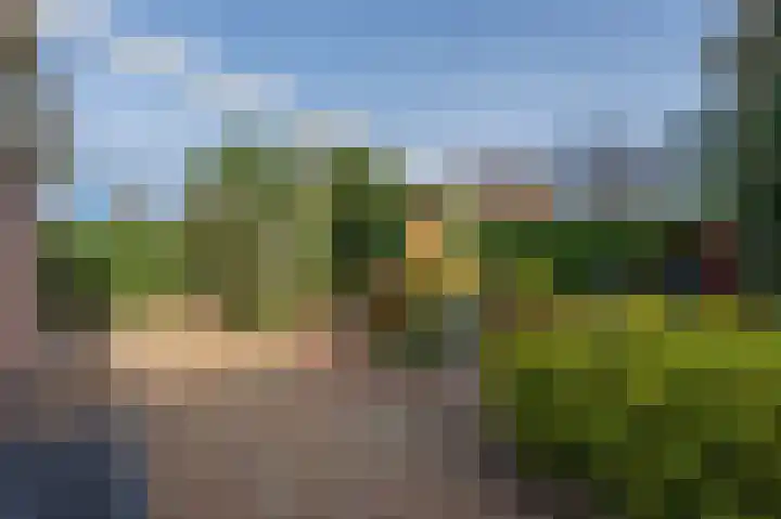 Eerste Koppelveenweg 90 Emmer-Compascuum thumbnail 52