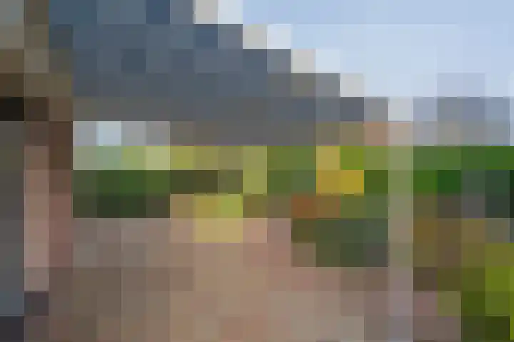 Eerste Koppelveenweg 90 Emmer-Compascuum thumbnail 53