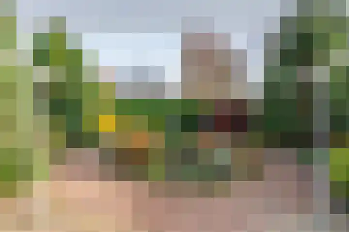 Eerste Koppelveenweg 90 Emmer-Compascuum thumbnail 54