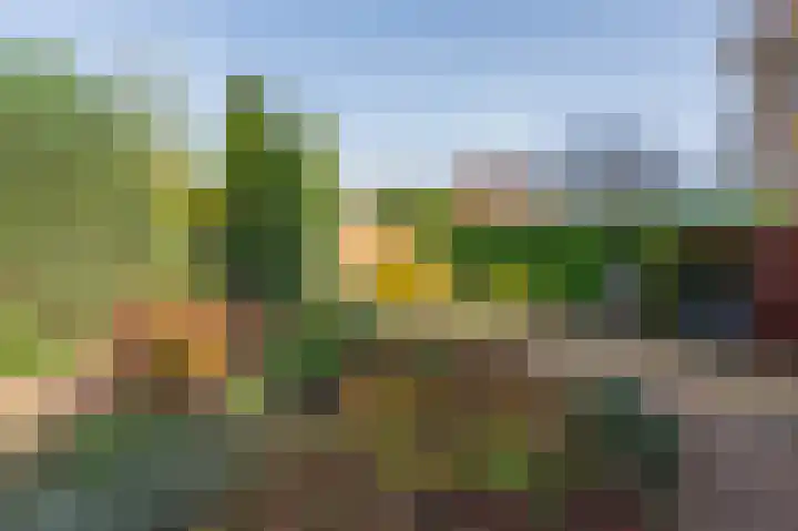 Eerste Koppelveenweg 90 Emmer-Compascuum thumbnail 55
