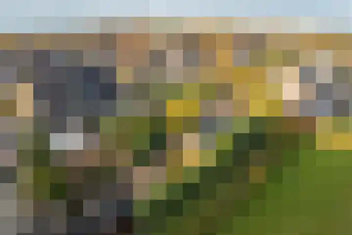 Eerste Koppelveenweg 90 Emmer-Compascuum thumbnail 68