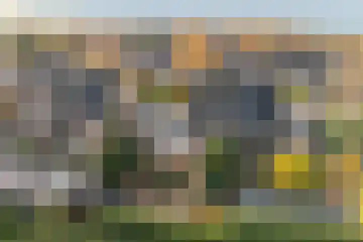 Eerste Koppelveenweg 90 Emmer-Compascuum thumbnail 69