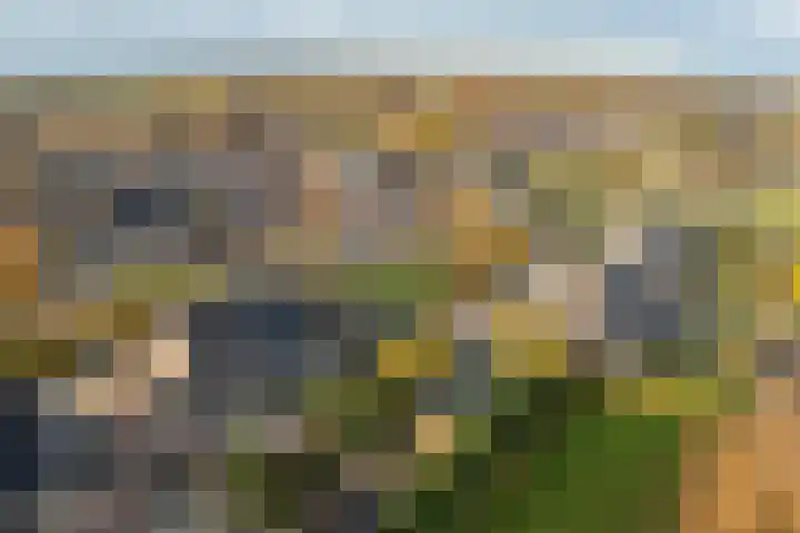 Eerste Koppelveenweg 90 Emmer-Compascuum thumbnail 70