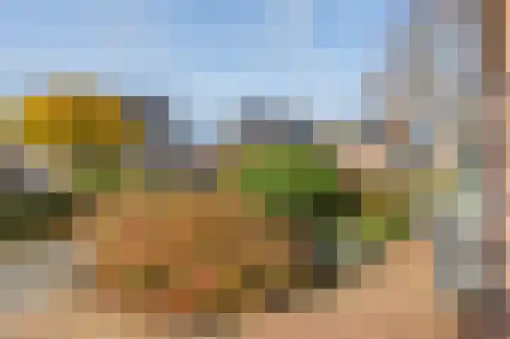 Eerste Koppelveenweg 90 Emmer-Compascuum thumbnail 8