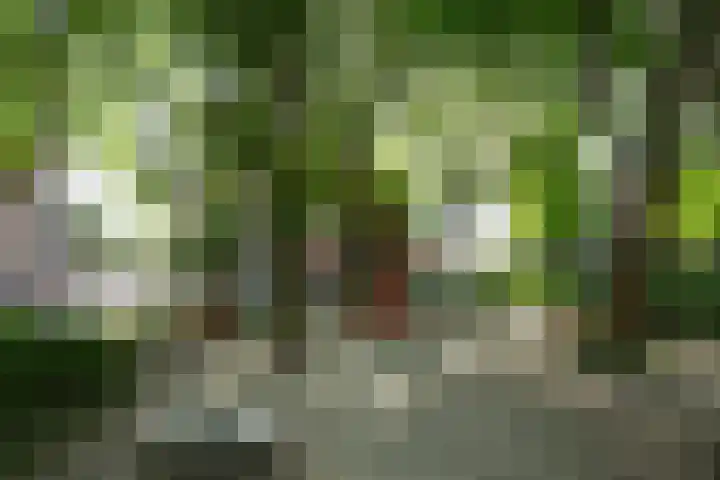 Eerste Kostverlorenkade 10 3 Amsterdam thumbnail 31