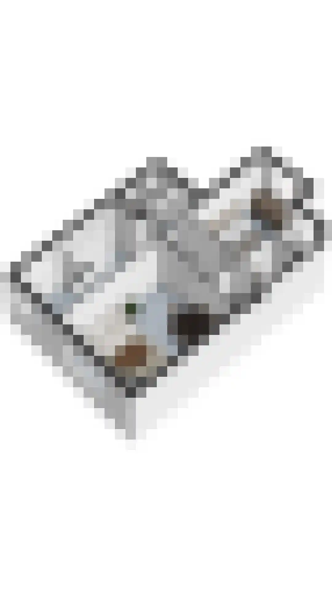Eerste Kostverlorenkade 11 2 Amsterdam thumbnail 36
