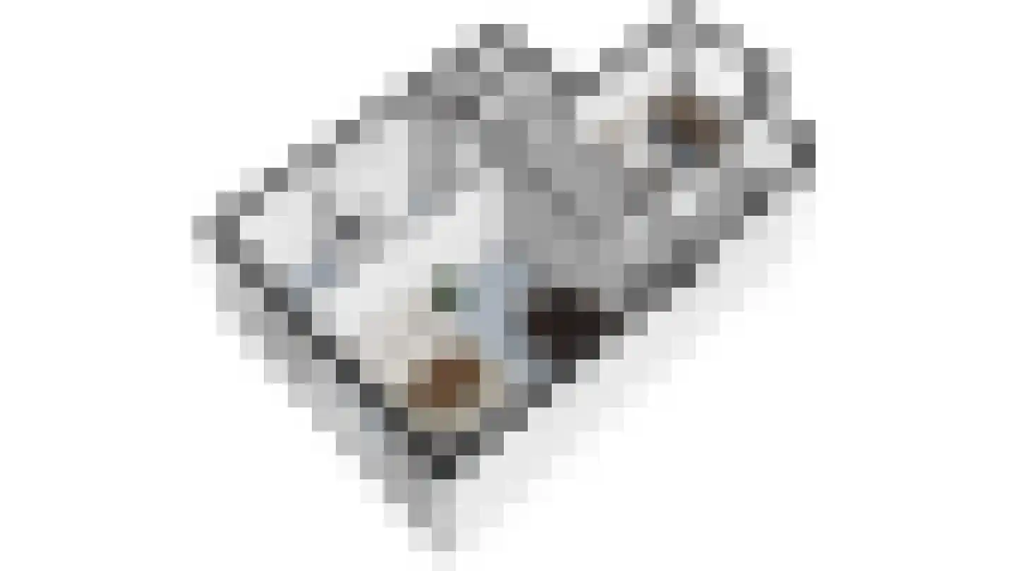 Eerste Kostverlorenkade 11 2 Amsterdam thumbnail 37