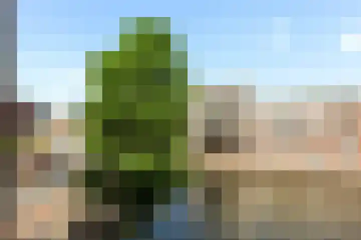 Eerste Kostverlorenkade 11 4 Amsterdam thumbnail 17