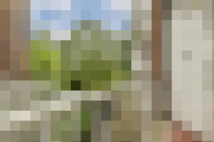 Eerste Kostverlorenkade 14 3 Amsterdam thumbnail 12