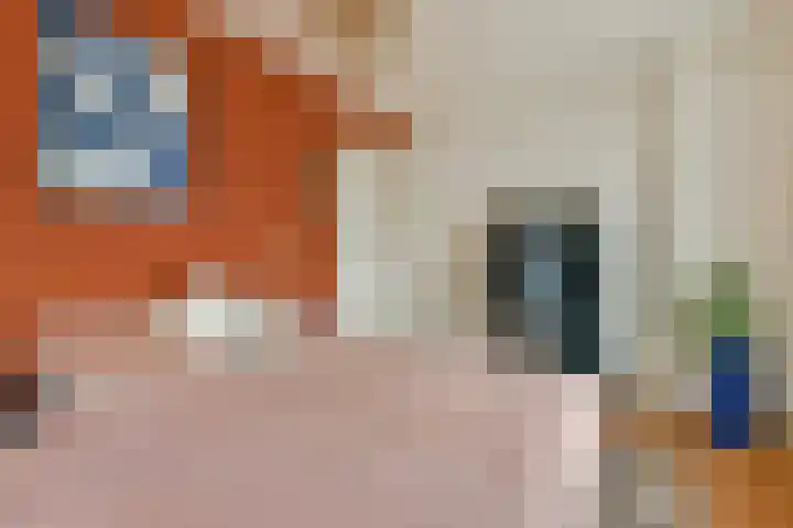 Eerste Kostverlorenkade 14 3 Amsterdam thumbnail 15