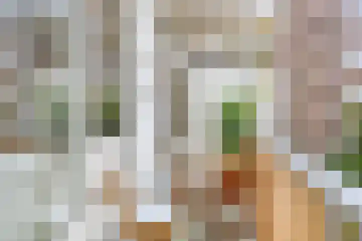 Eerste Kostverlorenkade 17 3 Amsterdam thumbnail 12