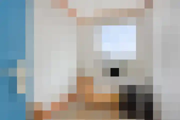 Eerste Kostverlorenkade 17 3 Amsterdam thumbnail 18
