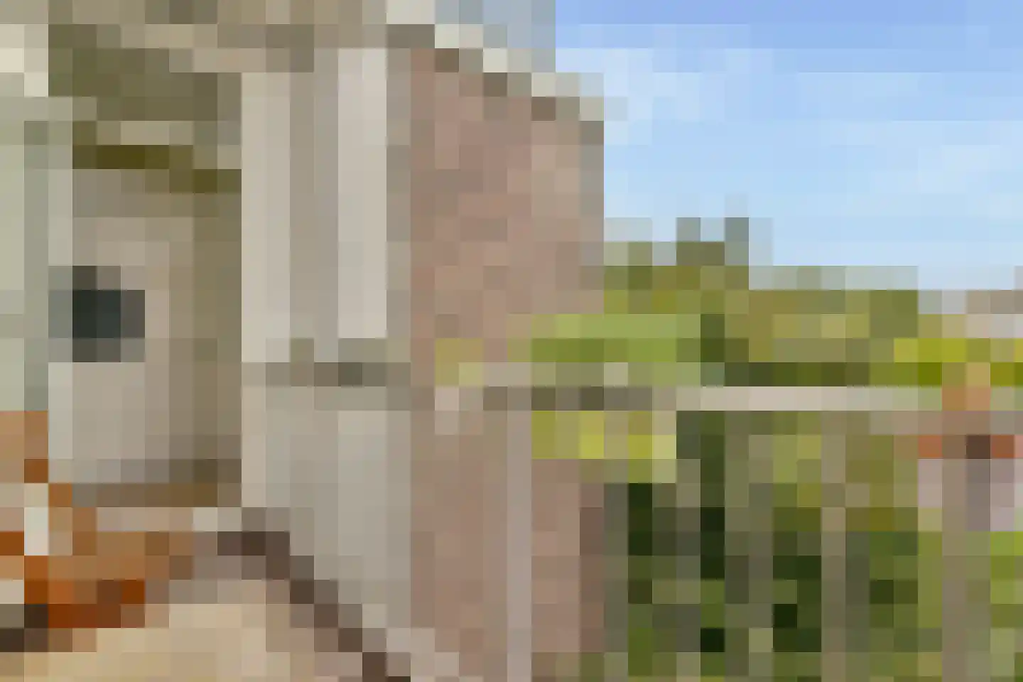 Eerste Kostverlorenkade 18 3 Amsterdam thumbnail 16